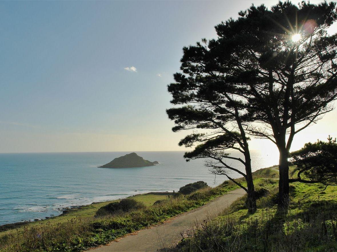 The Cider Barn At Home Farm Wembury ภายนอก รูปภาพ