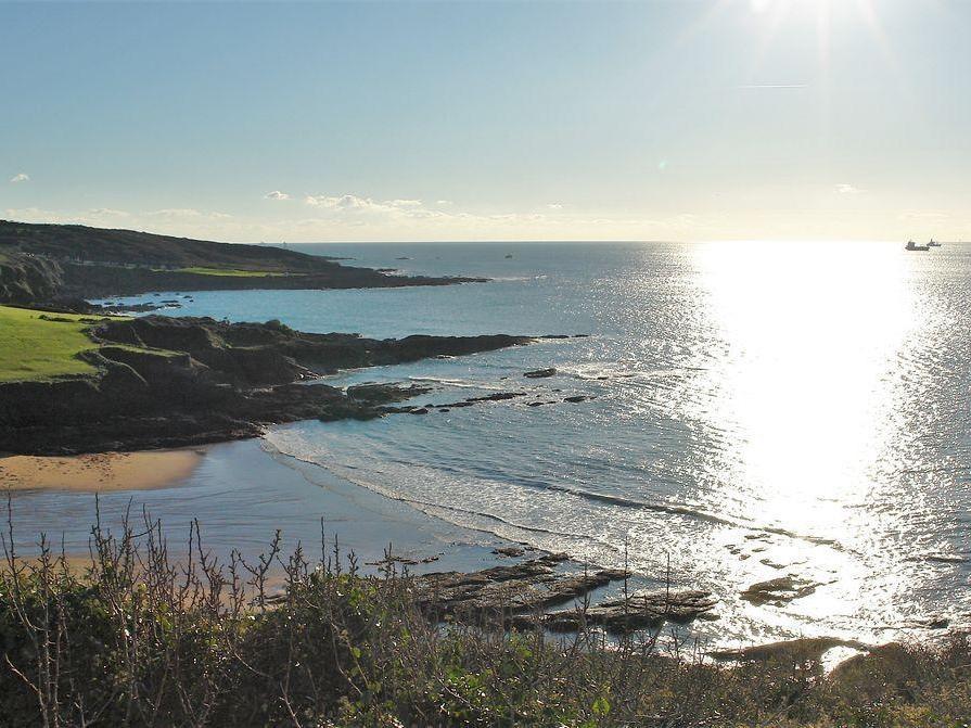 The Cider Barn At Home Farm Wembury ภายนอก รูปภาพ